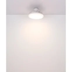 Ventilatore Soffitto con Luce Bianco 106 cm LED CCT Pale Richiudibili